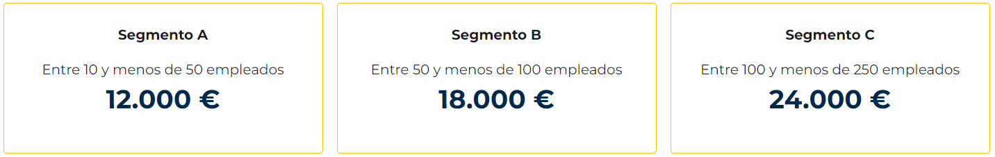 La ayuda Kit Consulting se podrá solicitar a partir de 18 de junio
